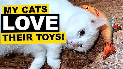 Review of Potaroma Cat Toys Saury Fish: SO FUN!