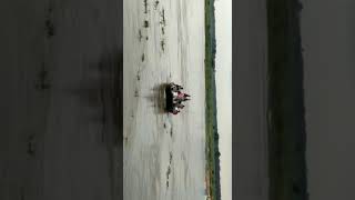 Flood, Bihar Floods, Mahananda River Water, Boat