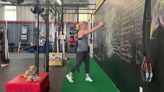 Dumbbell Diagonal Chop/Lift