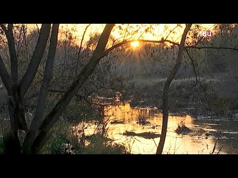 Video: Evropa Na Yauzi