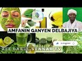 Amfanin Ganyen Delbajiya Neem Tree 16 Dr Abdulwahab Abubakar G Bauchi