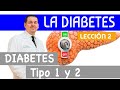 LA DIABETES [Lección 2]: Diabetes Tipo1 y Diabetes Tipo 2