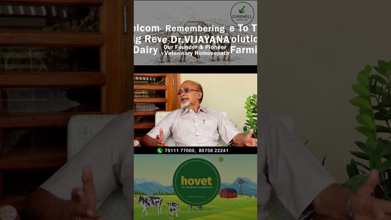 Foot & Mouth Disease in cattle and Homeopathy.