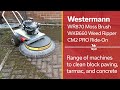 Westermann  sweep and clean  moss weeds farm