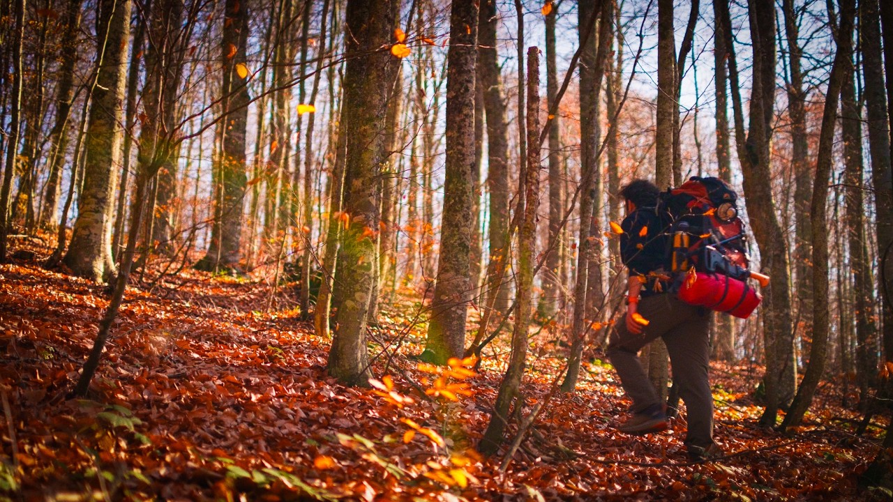 My First Solo Camping Experience – Alone in the Forest - YouTube