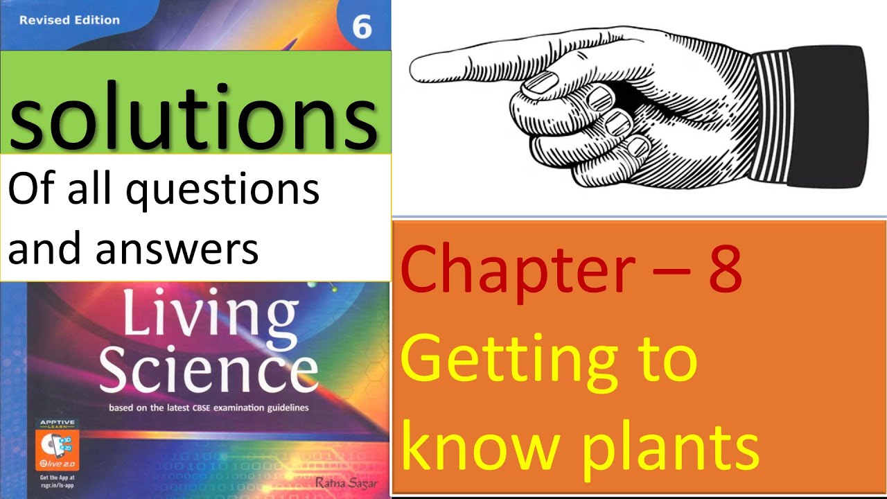 getting to know plants Living Science Class 6 Chapter 8 question and