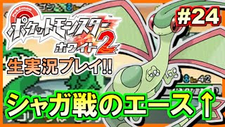 ポケモン ブラック2 ポケモンブラック2 ポケモンホワイト2 携帯用ゲームソフト 新品 Waterfordfoundation Org