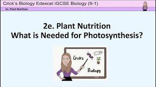 Photosynthesis experiments 2 - what is needed for photosynthesis? #cricksbiology #teaching