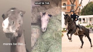 Funny and Relatable Equestrian TikToks pt 16