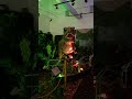 tRex 2025 07 17