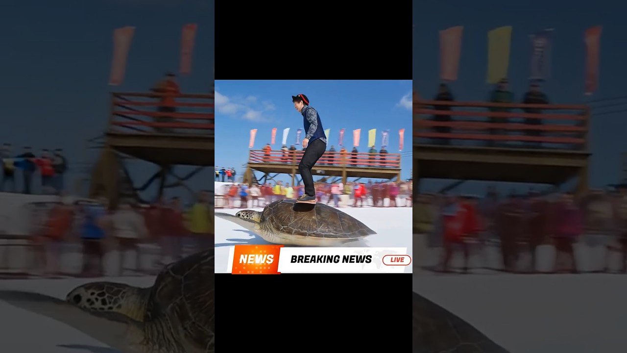 Sea Turtles and Snowboarding Pushing the Limits! ウミガメとスノボ＃higgsfield ＃seedance ＃lumeflowai #AIVideos