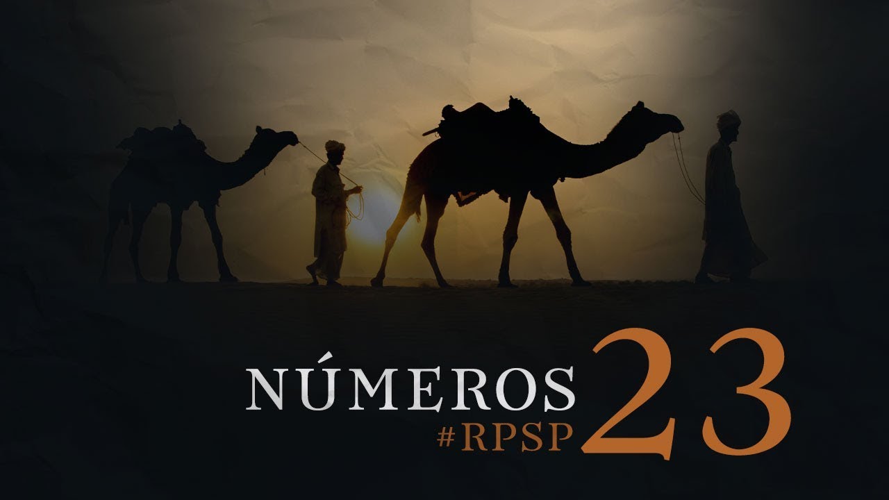 Números 23 23 Explicação - FDPLEARN