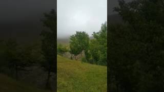Gedebey saratovka.