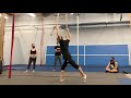 Aerial straps full training ( Aerial Straps Masterclass )