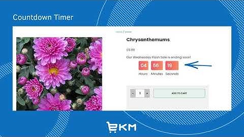 Ecommerce Website Countdown Timer, Cart Reservation Timer, and Low Stock Warnings