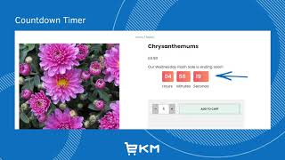 Ecommerce Website Countdown Timer, Cart Reservation Timer, and Low Stock Warnings