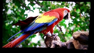 MSI Optix G27C2 - After color calibration