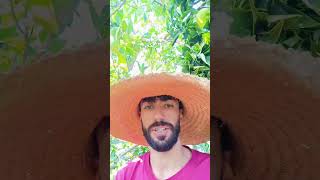 postei um vídeo respondendo comentário deu ruim #respondendocomentários #humor