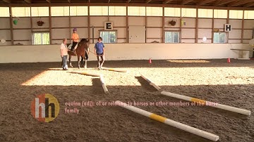 Homework Hotline Move to Include: Equine Assisted Therapy