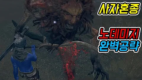 사자혼종 노데미지 완벽 공략 [엘든링]