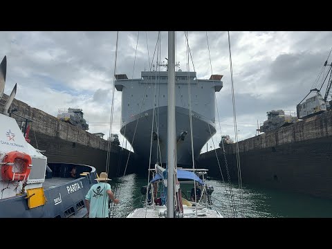 Sailing Zingaro está en vivo