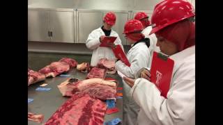 On the Road with the 2016 Meat Judging Team