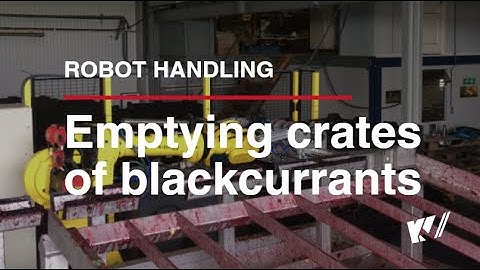 Depalletising and emptying crates of blackcurrants with robot | KV-Techniek