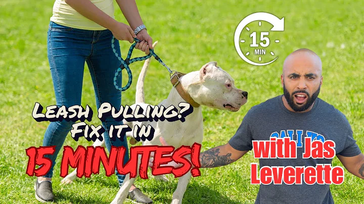 STOP Leash Pulling for ANY BREED in less than 15 Minutes!