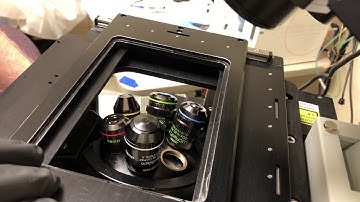 How to use the 100X oil objective on the IX81