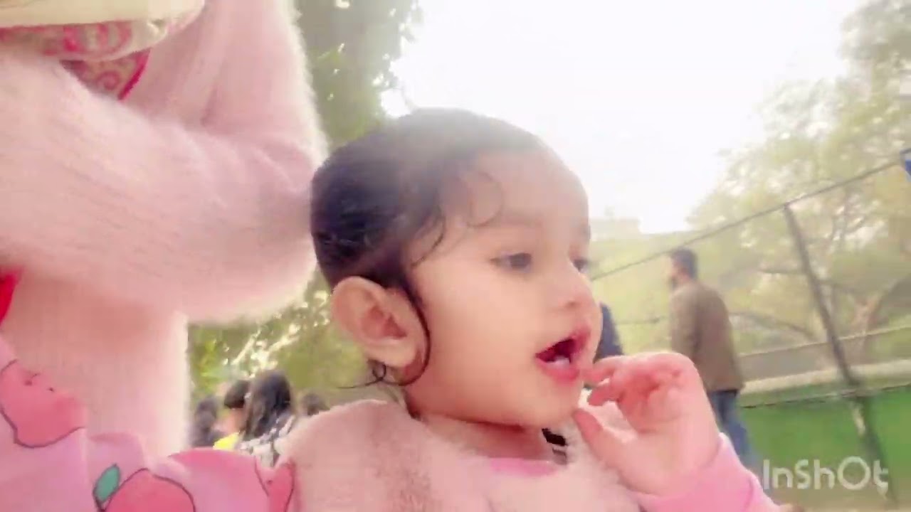 Aj humlog gaye the zoo🐰🐒🐺🦧🐆🐅🐊