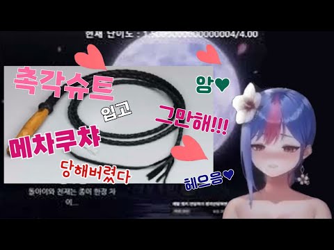 빙하유님을 촉각슈트 채찍소리