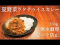 【夏野菜カレー】水を一滴も加えずにラタテゥイユカレー！無水/夏バテ防止【vlog】