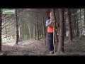 Is my conifer forest ready for thinning? Check with the Ready Reckoner