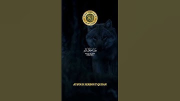 سورة لقمان الآية 9-11 تلاوة شيخ الدوسري
