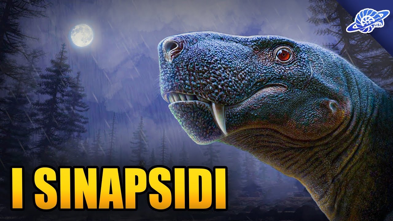 La Stirpe che Conquistò Due Volte il Pianeta | I Sinapsidi