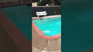 Danny yuang took this video of the water sloshing around in pool at
his home lake balboa during 6.4 earthquake ridgecrest on july 4, 2019.