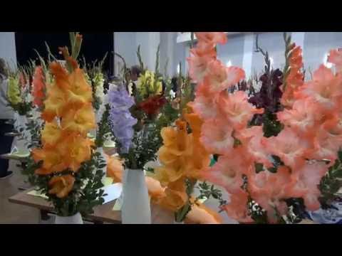Video: Organické Květinové Zahradnictví