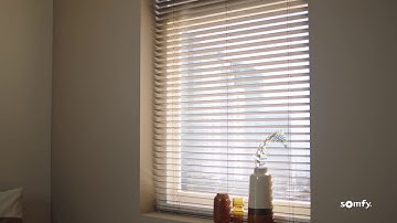 Motorised Venetian Blinds | Somfy