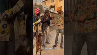 The Goat #comedy #capitalpunishment #shortsviral #funny #shortsvideo