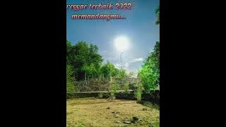 MEMANDANGMU-REGGAE SKA ACOUSTIC COVER-LITA MANDA X NIKI SUKA BAND