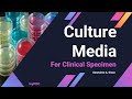 Types of culture media