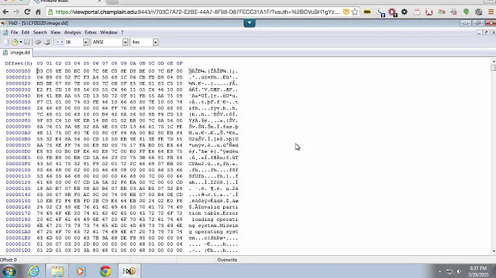 Using a Hex Editor