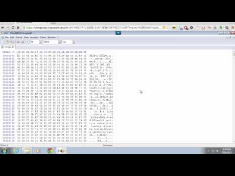 Using a Hex Editor