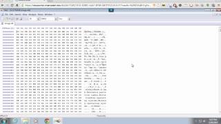 Using A Hex Editor