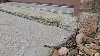 Concrete Lifting Demo