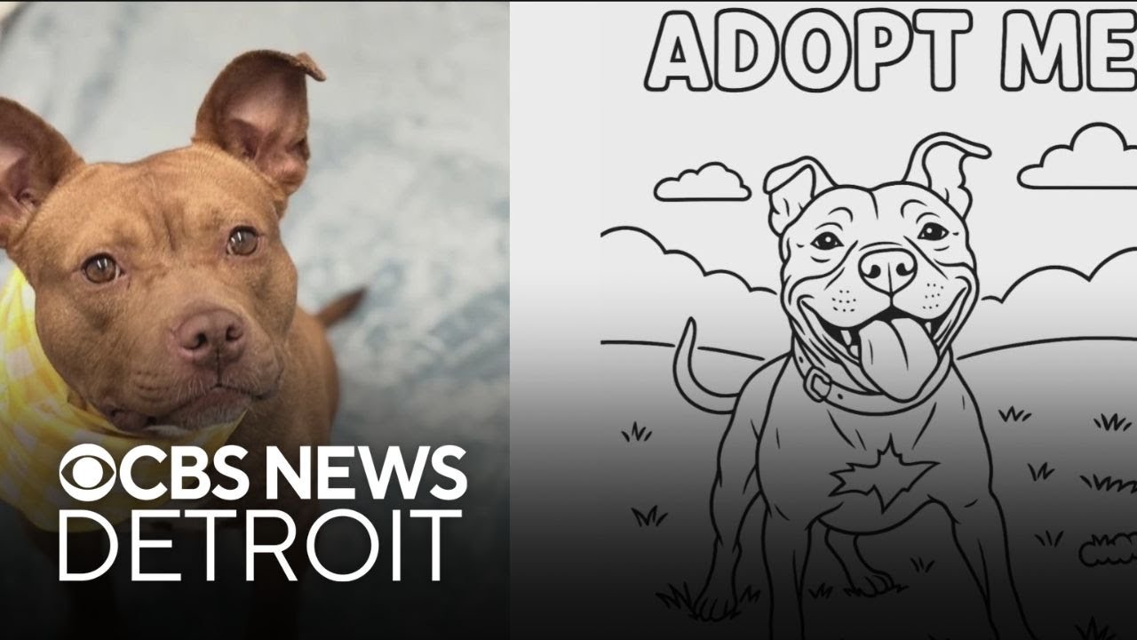 Color Me Adopted initiative with Detroit Animal Care and Control