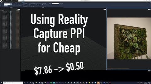 Using Reality Capture PPI for Cheap