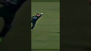 Mushfiqur Catched a hard ball 