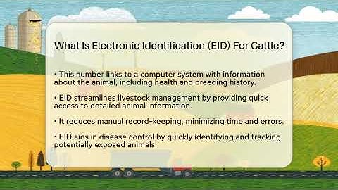 What Is Electronic Identification (EID) For Cattle? - The World of Agriculture