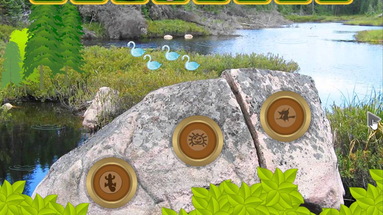 Escape Raccoon from Forest video walkthrough YouTube